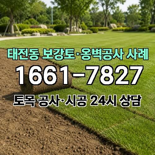 게시판 이미지 5331