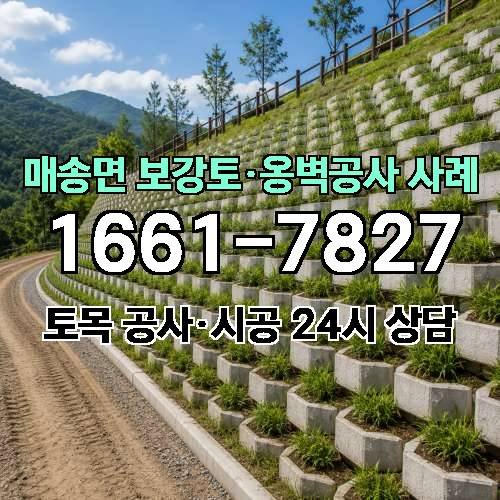 게시판 이미지 5982