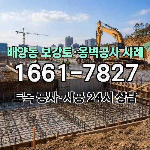 게시판 이미지 5988