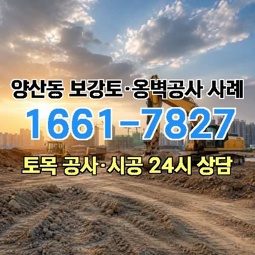 게시판 이미지 7264