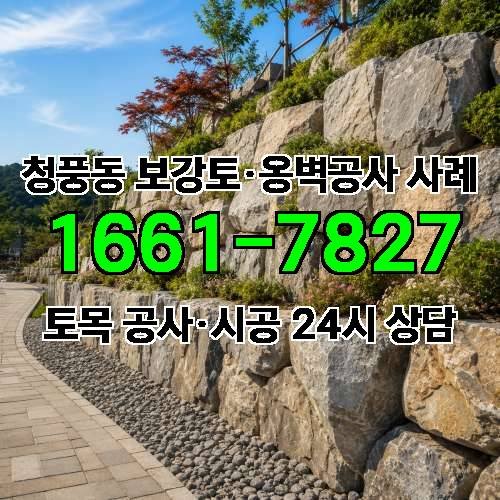 게시판 이미지 7282