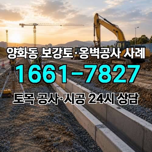 게시판 이미지 8008