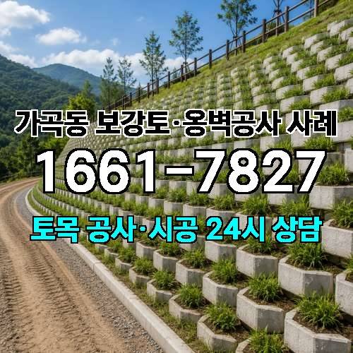 게시판 이미지 8603