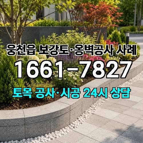 게시판 이미지 9389